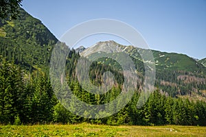 A beautiful summer landscape in mountains. Natural scenery in mountains, national park.