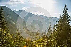 A beautiful summer landscape in mountains. Natural scenery in mountains, national park.