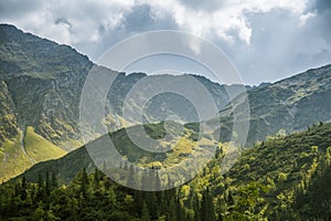 A beautiful summer landscape in mountains. Natural scenery in mountains, national park.