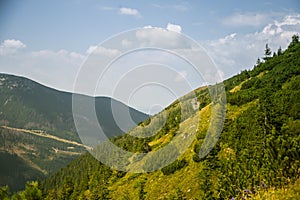 Krásná letní krajina v horách. Přírodní scenérie v horách, národní park.