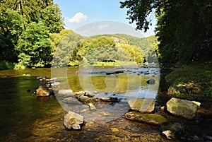 Beautiful summer landscape with river, forest, sun and blue skies. Natural background.