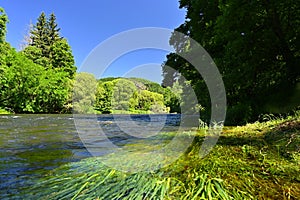 Beautiful summer landscape with river, forest, sun and blue skies. Natural colorful background. Jihlava River, Czech Republic -