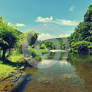 Beautiful summer landscape with river, forest, sun and blue skies. Natural colorful background. Jihlava River. Czech Republic -