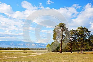 Beautiful summer landscape. A road in a pine forest. In the background, Lake Baikal, mountains. Olkhon Island