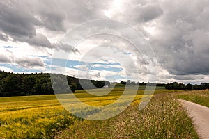 Beautiful summer landscape of Ruhr area in Germany. Small house against the backdrop of a wheat field and forest in front of the