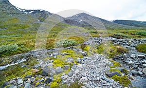 A beautiful summer landscape of Sarek National Park with river.