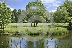 Beautiful summer landscape with trees on the river bank, a meadow and the wood on the horizon