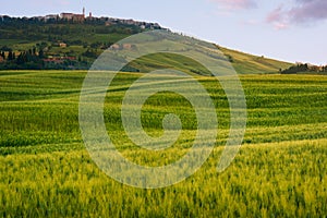 Beautiful summer landscape in Tuscany