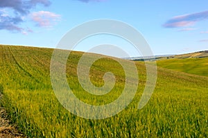 Beautiful summer landscape in Tuscany