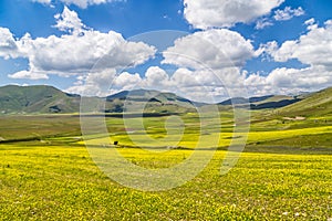 Beautiful summer landscape in Umbria, Italy