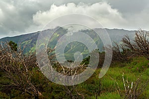 Beautiful summer landscape in the Uzon Caldera. Kronotsky Nature Reserve