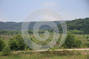 Beautiful summer landscape with a view of nature