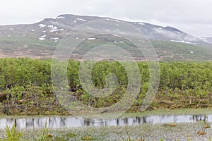 Beautiful summer landscape view of a snow covered mountain peak far up in northern Sweden, almost at the border into Norway. With