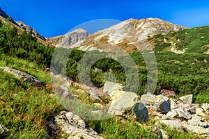 Západné Tatry, Slovensko