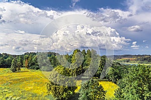 Beautiful summer landscape with a yellow field and green trees, blue sky with white clouds. View from above