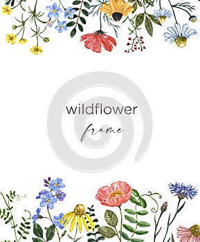 Beautiful summer meadow flowers border, botanical frame with wildflowers on white background. hand painted illustration photo
