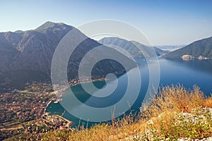 Beautiful summer Mediterranean landscape. Montenegro, view of Kotor Bay and Risan town from a mountain slope photo