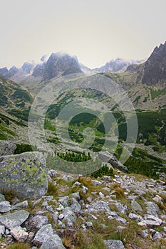 A beautiful summer mountain landscape in Tatry