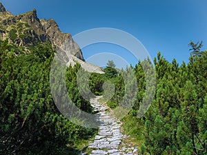Krásna letná horská krajina v Tatrách
