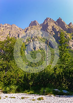 Krásna letná horská krajina v Tatrách
