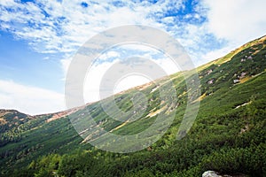 A beautiful summer mountain landscape in Tatry