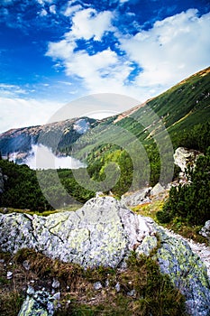 A beautiful summer mountain landscape in Tatry