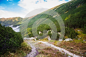 A beautiful summer mountain landscape in Tatry