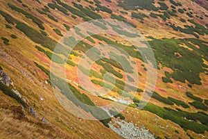 A beautiful summer mountain landscape in Tatry