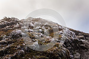 A beautiful summer mountain landscape in Tatry