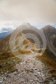 A beautiful summer mountain landscape in Tatry