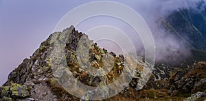 A beautiful summer mountain landscape in Tatry