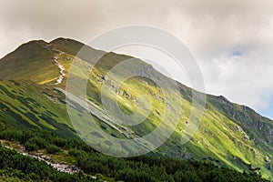 A beautiful summer mountain landscape in Tatry