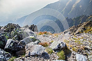 A beautiful summer mountain landscape in Tatry