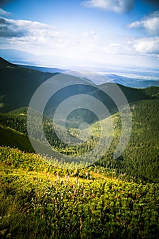 A beautiful summer mountain landscape in Tatry