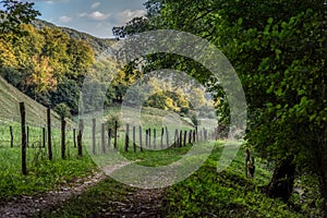 Beautiful summer mountain rural landscape