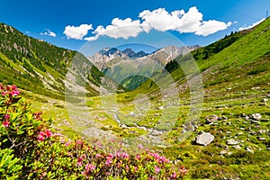 Beautiful summer mountains landscape from Knotenspitze summit in Stubai Tyrol Alps near New Regensburger mountain hut, Austria