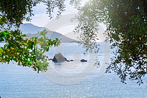 Beautiful summer panoramic seascape. View of the the sea bay with crystal clear azure water. The branches of the old olive tree in