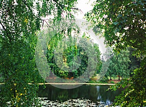 Beautiful summer pond in city park landscape backdrop