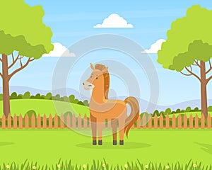 Beautiful Summer Rural Landscape with Green Field and Grazing Horse Barn Cartoon Vector Illustration