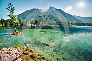 Beautiful summer scene of Hintersee lake. Colorful morning view of Bavarian Alps on the Austrian border, Germany, Europe. Beauty