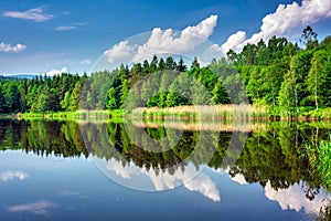 Beautiful summer scenery with the lake in Lower Silesia. Poland