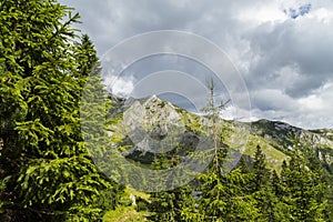 Beautiful summer scenery in the Transylvanian Alps