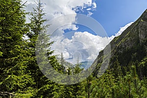 Beautiful summer scenery in the Transylvanian Alps