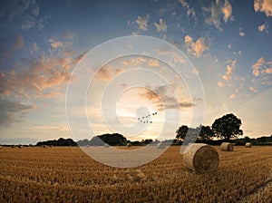 Beautiful Summer sunset landscape over field of golden hay bales