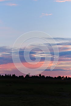 Beautiful summer sunset or sunrise with pink clouds and silhouettes of trees in distance. Blue red dawn in village. Concept of