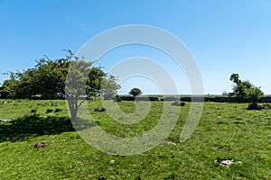 Beautiful summer view of the south end of the island Ã–land outs