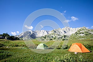 Beautiful summer views of blooming alpine meadows of Caucasus mountains