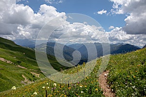 Beautiful summer views of blooming alpine meadows of Caucasus mountains