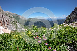 Beautiful summer views of blooming alpine meadows of Caucasus mountains