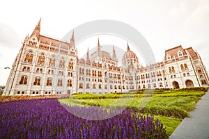 Beautiful summer violet flowers near Parliament. Travelling to Europe. Budapest city landmark building